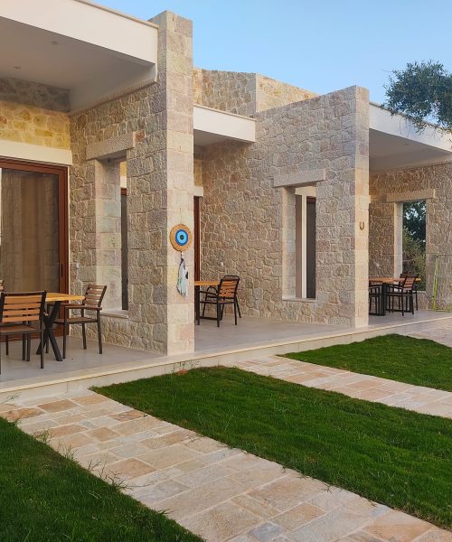 290011401_1723647147994880_5695961531986401673_n